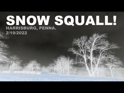 Snow Squall! Harrisburg, Penna., 2/19/2022