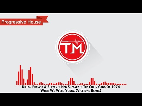Dillon Francis & Sultan + Ned Shepard + The Chain Gang Of 1974 - When We Were Young (Vicetone Remix)