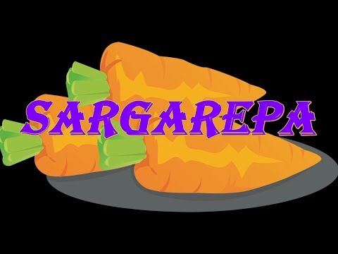3-Sitza - Sargarepa