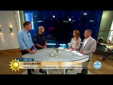 Våg av gatubarn som begår brott - Nyhetsmorgon (TV4)