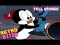 The Big Snooze Chilly Willy Full Episodes Old Cartoons Retro Bites