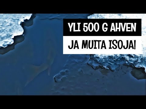ISOJA AHVENIA POHJAPADOLLA!