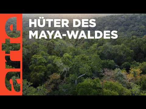 Guatemala: Die Wächter des Regenwaldes | ARTE Reportage