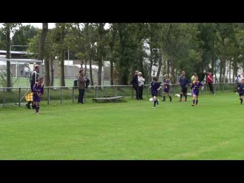 VVSB D3 - Blauw Zwart D3