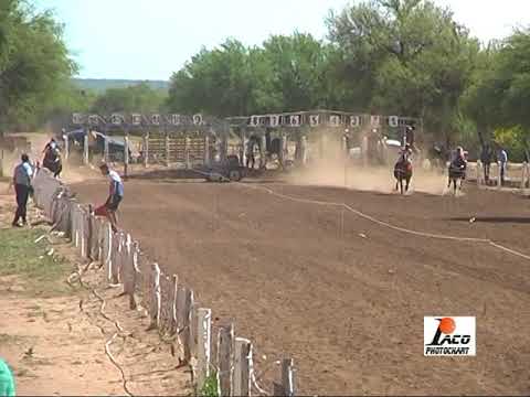 DULCE FLOR PANGARE 29 10 17