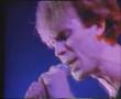 Julian Cope - Reynard The Fox (Live)