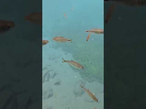 olho d'água, nova redenção Bahia