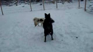Snow02