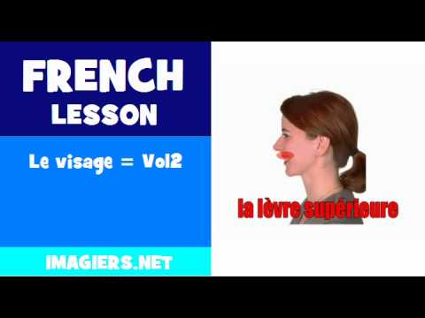 FRENCH LESSON #180 = Le visage = Vol2