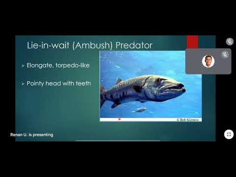 Ichthyology Integumentary 3