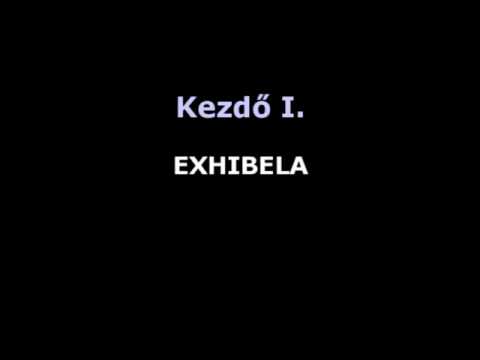 Exhibela - Salsa Video - Kezdő I.