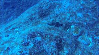 Diving the Blue Hole to Inland Sea, Gozo, Malta, Europes best diving