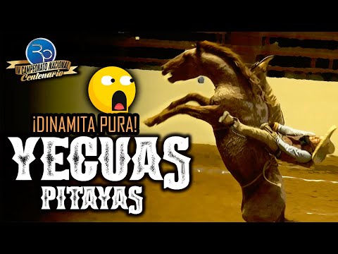 Dangerous Repairs, Flying Mares, and the Best Riders - IV Centennial Championship 2020