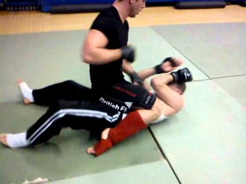 Matt Holland vs Dan Savage