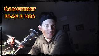 Редкият интелект на самотния вълк(INFJ, autism, HSP)