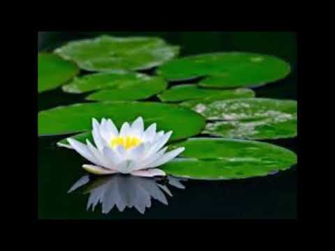 Jodi Asha Thake re mone .....by Nh  Nazmul Himu