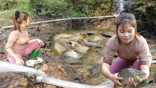 Fishing Videos: Fishing Skills, Traditional Fishing Techniques, Girl Fishing Catches Many Big Fish