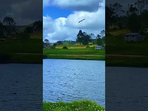 Naturaleza y paisajes del cantón #cañar #laguna #naturaleza #aves