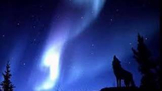 Sonata Arctica - Don't Be Mean (Wolves)