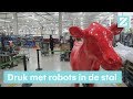Robots in de stal maken van veeboer een data-analist