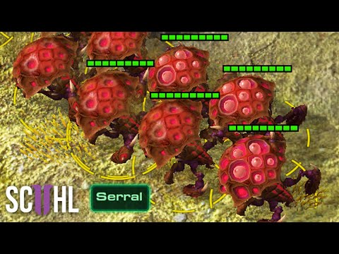 Serral's Mass Swarm Host - Starcraft 2