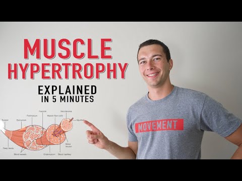 What is Muscle Hypertrophy? | Physiology and Mechanisms of Muscle Growth in 5 minutes!