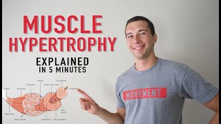 What is Muscle Hypertrophy? | Physiology and Mechanisms of Muscle Growth in 5 minutes! thumbnail