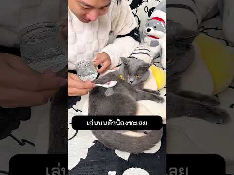 เล่นบนตัวน้องซะเลย