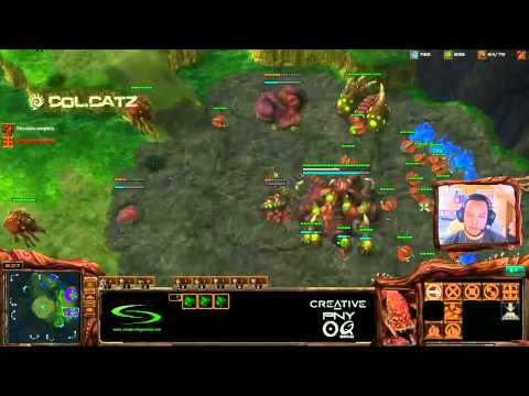 coLCatZ (Z) vs. NonY (LiquidTyler) (P) - Starcraft 2 Ladder