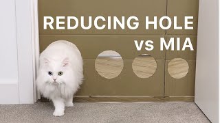 Cat Mia vs Reducing hole | mmeowmmia