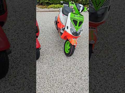 Piaggio Zip Sp 172 Malossi & Piaggio Skipper 172 Malossi #zipspkawaalien #piaggio #malossi #zipsp