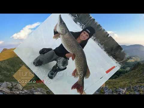 Maramures Hoteluri, Cabana Maramures, Pensiuni Viseu De Sus