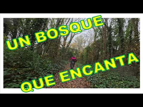 Senderos del Bosque Encantado. Ciclismo en la Lluvia. Episodio 90.