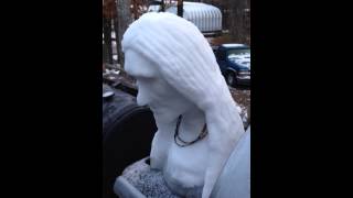 Trail of Tears Indian Head Carving from Snow