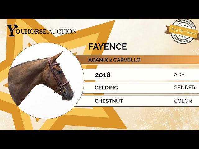 Fayence showvideo