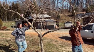 Gettin’ Pretty Anxious || Tending Fruit Trees & Tidying the Raised Beds || February 2026