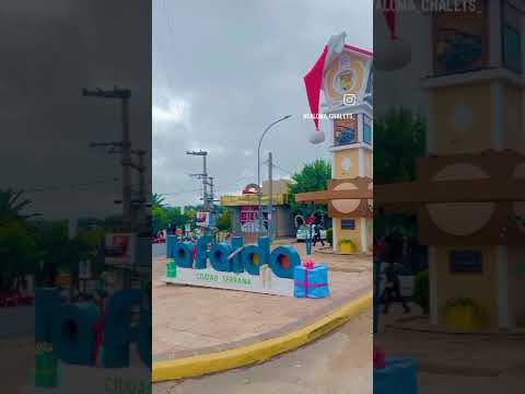 video paloma -vacaciones