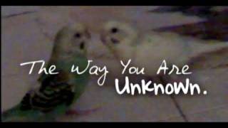 The Way U Are - Shayne Ward