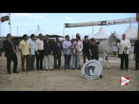 2nd place N.73 NORMA - Menton 2015 - Senior Female Championship (Class 15)