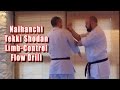 Practical Kata Bunkai Naihanchi Tekki Shodan Limb Control Flow Drill