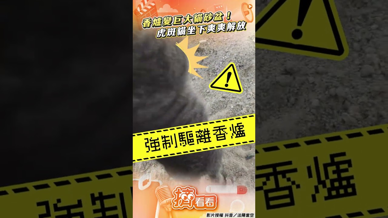 影音／虎斑貓把香爐當「巨大貓砂盆」　坐下「爽爽解放」2度抓獲現行犯
