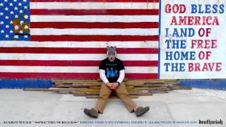 HARM WÜLF "Spectrum Blues"