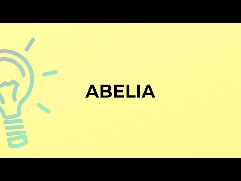 What is the meaning of the word ABELIA?