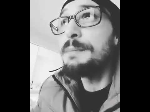 IB-i Freestyle (2017)