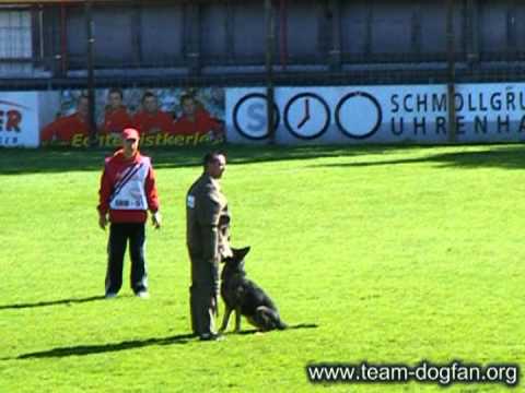 WUSV 2012 - Dejan Lazic with Ela von Neusaddrache/protection