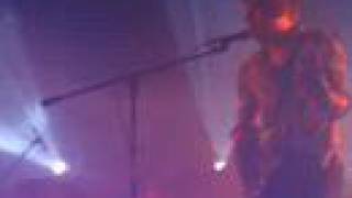 stellastarr* en Mèxico