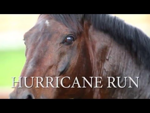 Hurricane Run deutsch