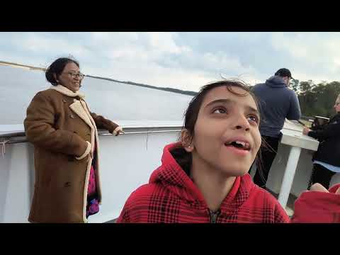 Boat Tour Myrtle Beach Birds Feeding