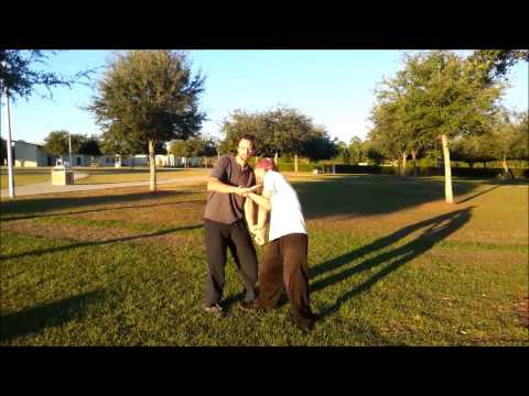 Baguazhang Single & Double Palm Change Applications