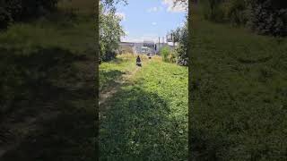 PŮJČENÍ Elektrický skútr rychlý